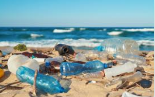 Plastic Pollution: A Major Challenge to Environmental Sustainability