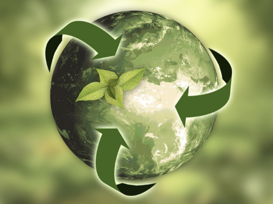 Reframing Sustainability through Systemic Resilience and Equity