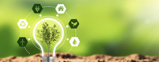 Data’s Green Frontier: Algorithmic Approaches to Earth’s Toughest Challenges